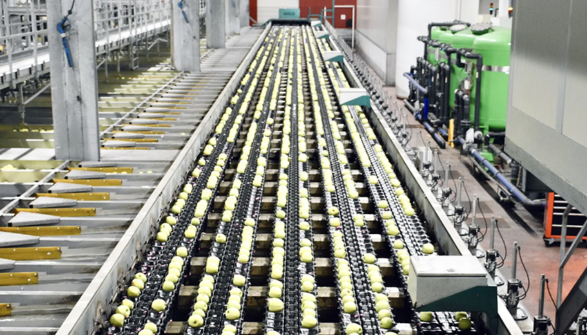 食品加工場